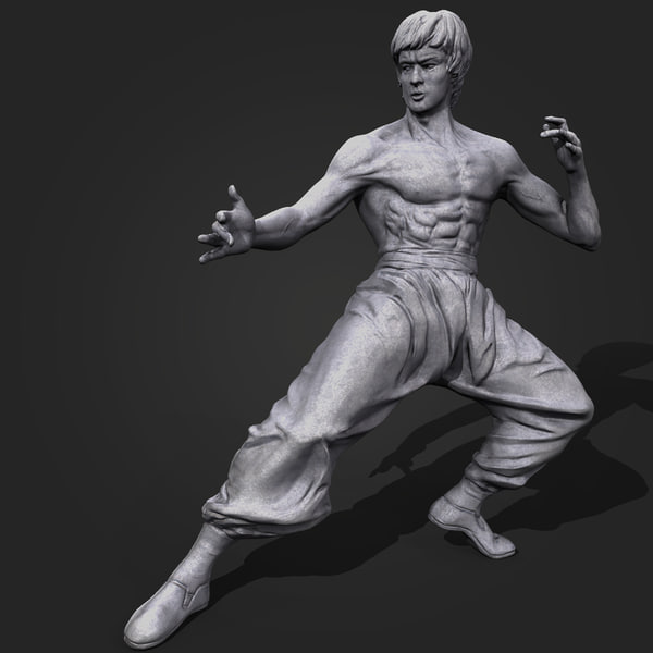 Bruce lee 3d Outlet