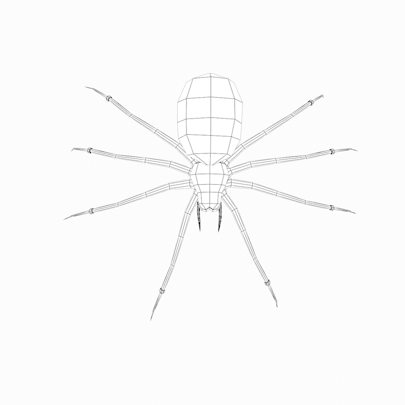 3d realistic spider model