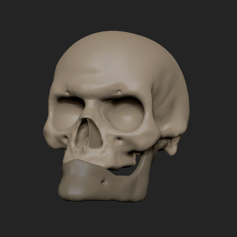 老人头骨(zbrush)3d模型