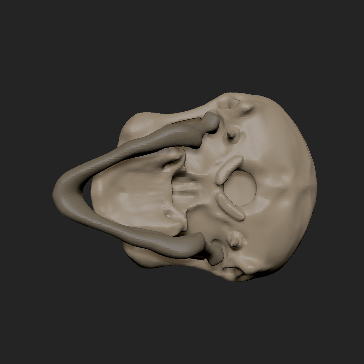 老人头骨(zbrush)3d模型