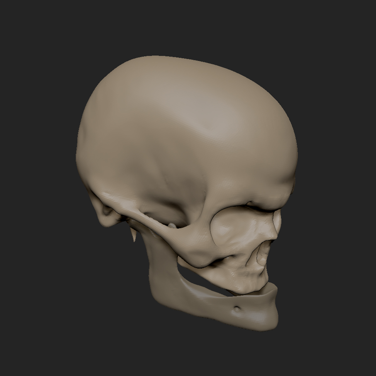 老人头骨(zbrush)3d模型
