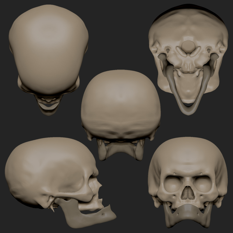 3d model man skull z old