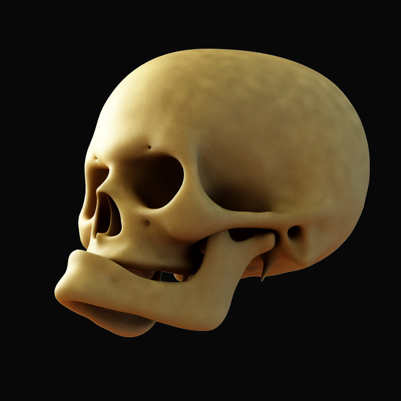 he man skull