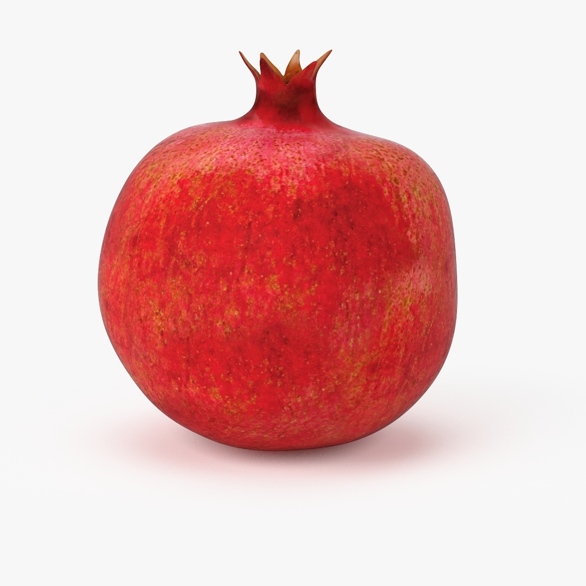 3d model realistic pomegranate fruit real