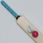 cricket bat ball max