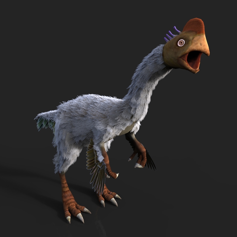 gigantoraptor fossil