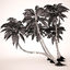 3d coconut palms set plants