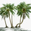 3d coconut palms set plants