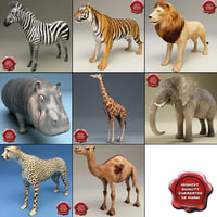 3d african animals v3 model