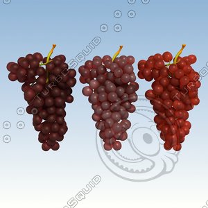 3d model red grapes
