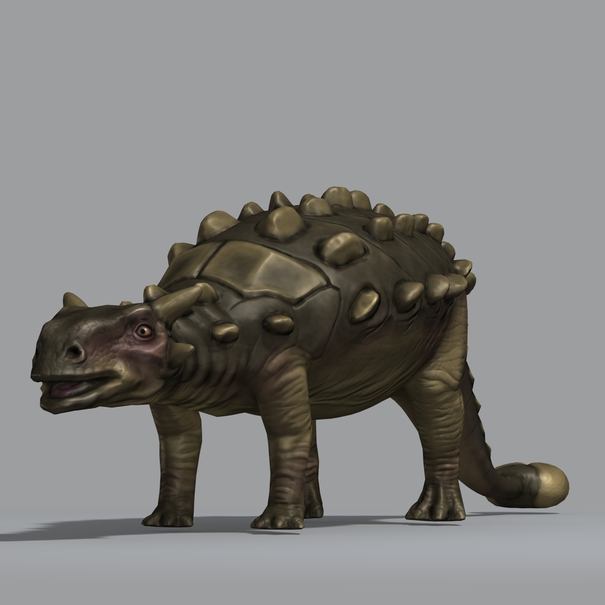 ankylosaurus herbivore