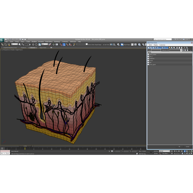 3d skin layers 1.20