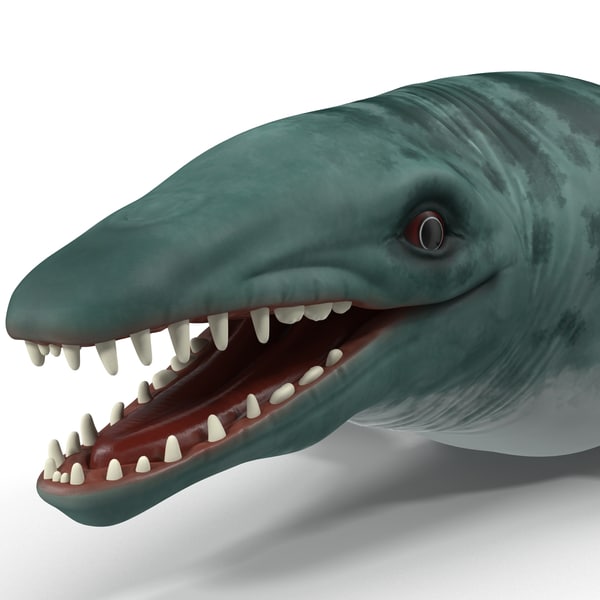 basilosaurus 3d max