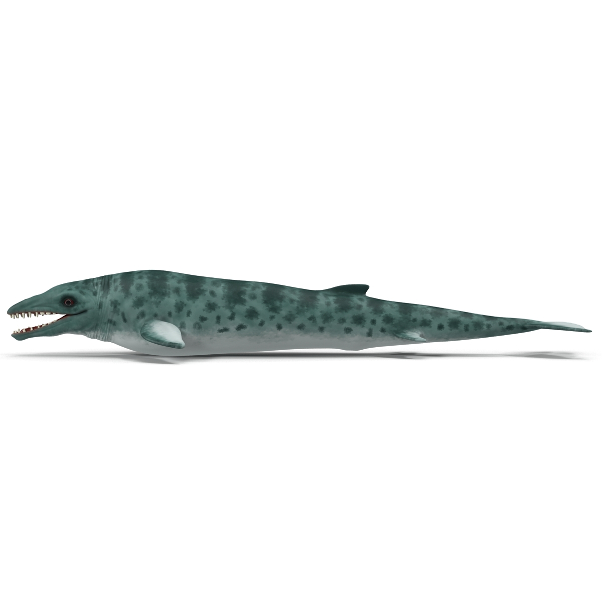 basilosaurus 3d max