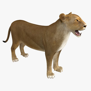 3d model of lioness rigged