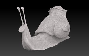 maya snail