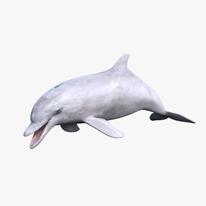 dolphin photorealistic animation 3d max