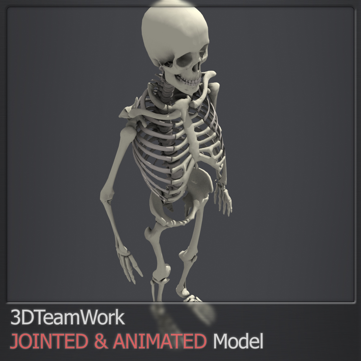 Modelo D Esqueleto Humano Articulado Y Animado Turbosquid My Xxx Hot Girl 9475