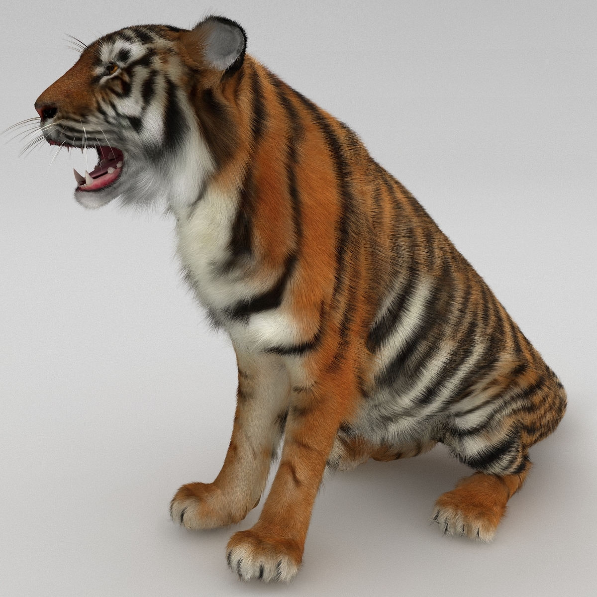 max tiger 4x4 rc