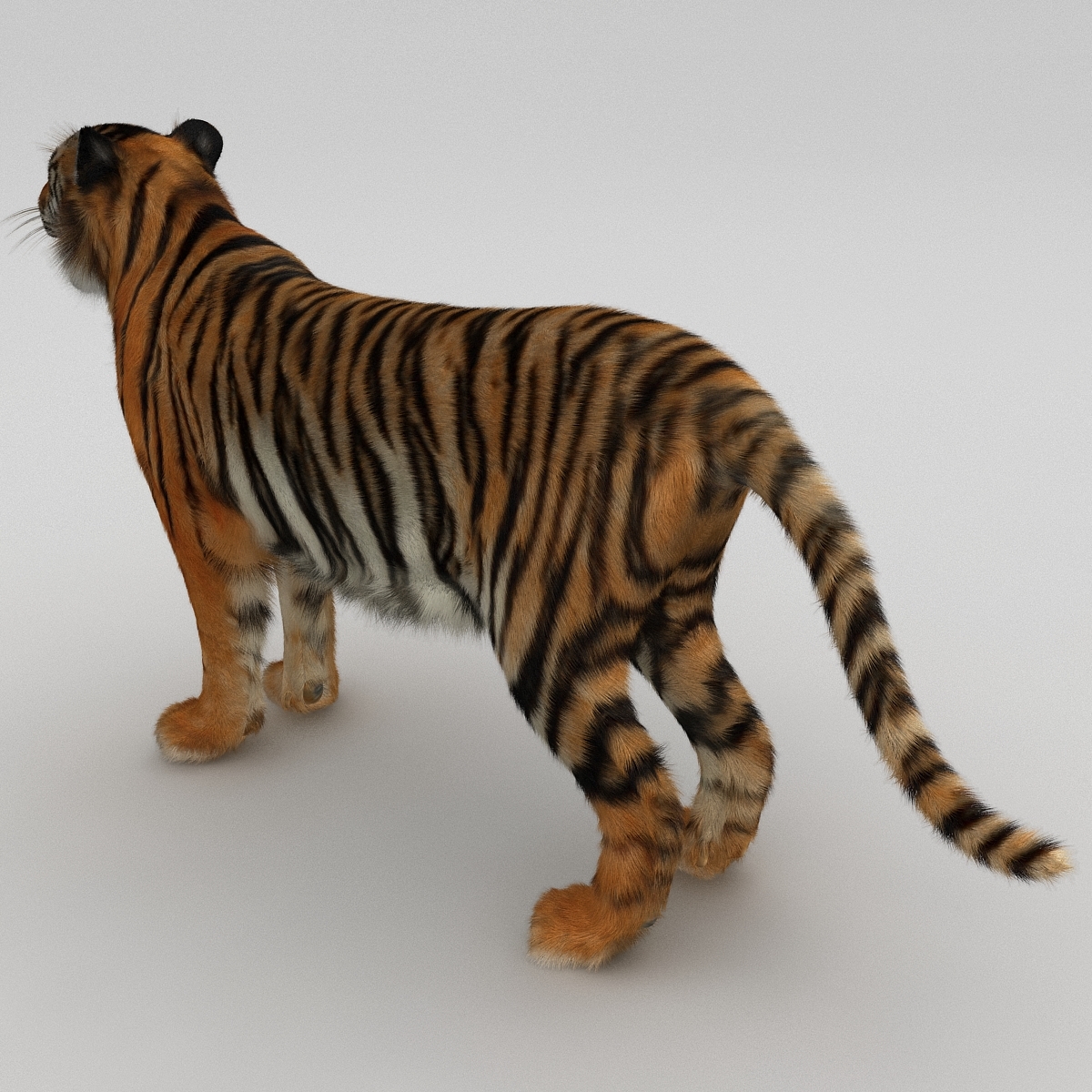 max tiger 4x4 rc