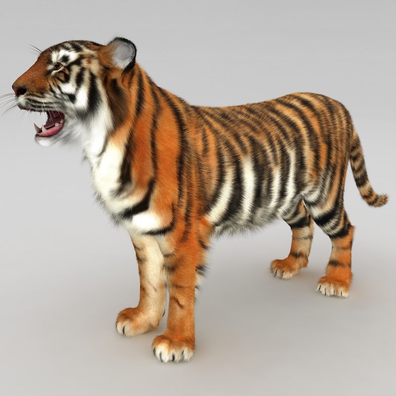 max tiger 4x4 rc