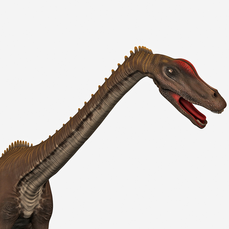 wwd diplodocus