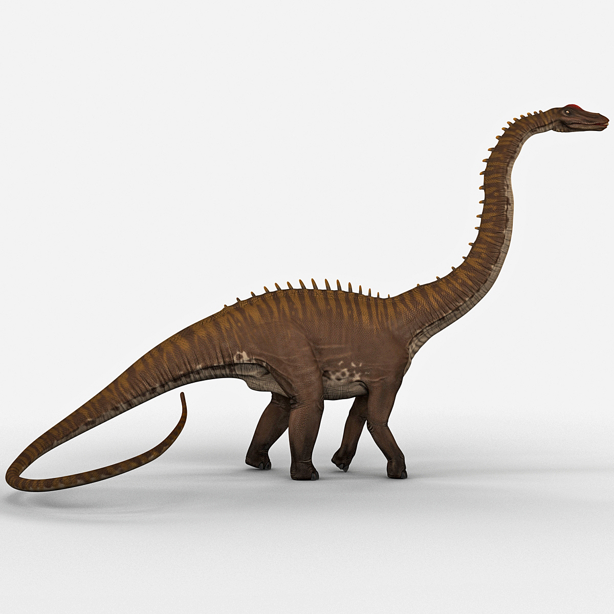 diplodocus rigged3d模型