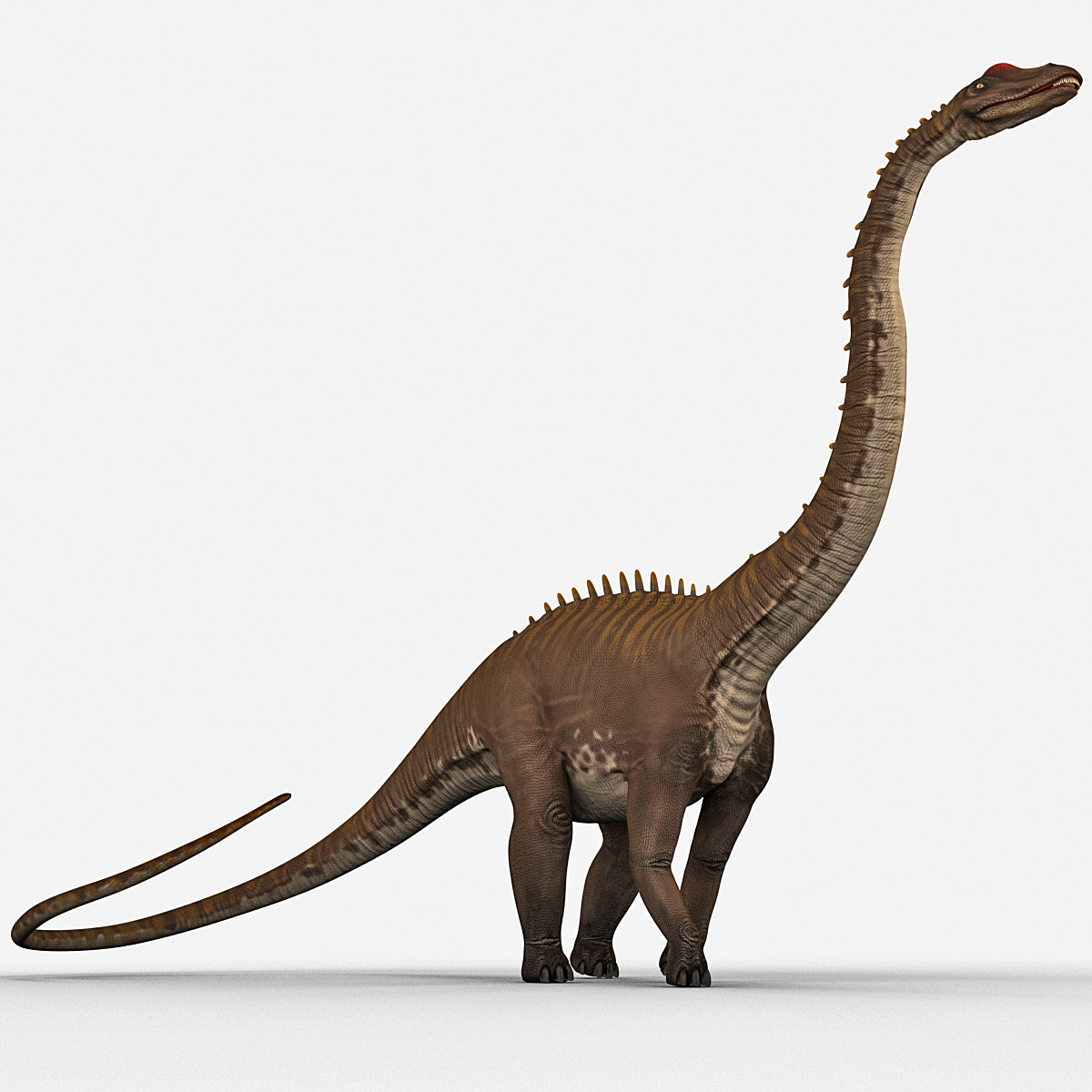 diplodocus rigged3d模型