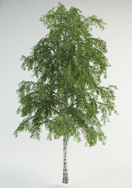 3D creeping juniper blue chip - TurboSquid 1430145