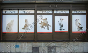 window_37