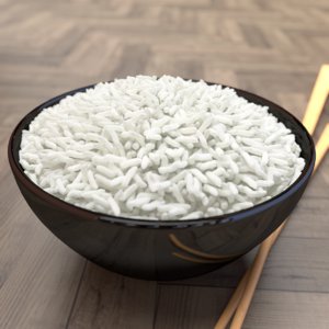 3d rice bowl model