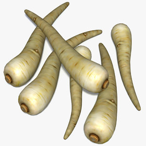 3ds max vegetable parsnips