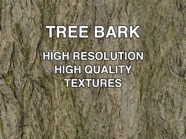 tree bark textures