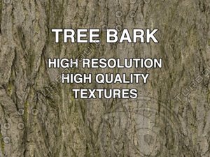 Tree Bark Textures