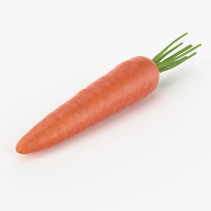 3d c4d realistic carrot real