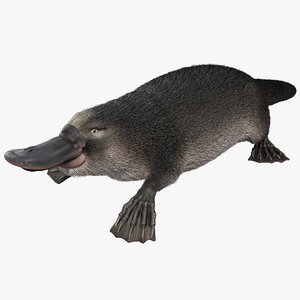 platypus fur pose 2 3d max
