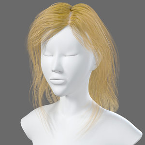 3d model of hairstyle woman