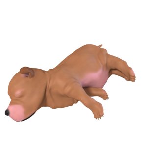 newborn puppy 3d model
