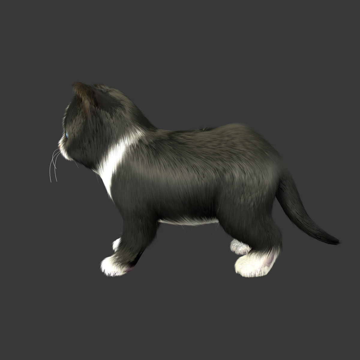 3d kitten animations rig