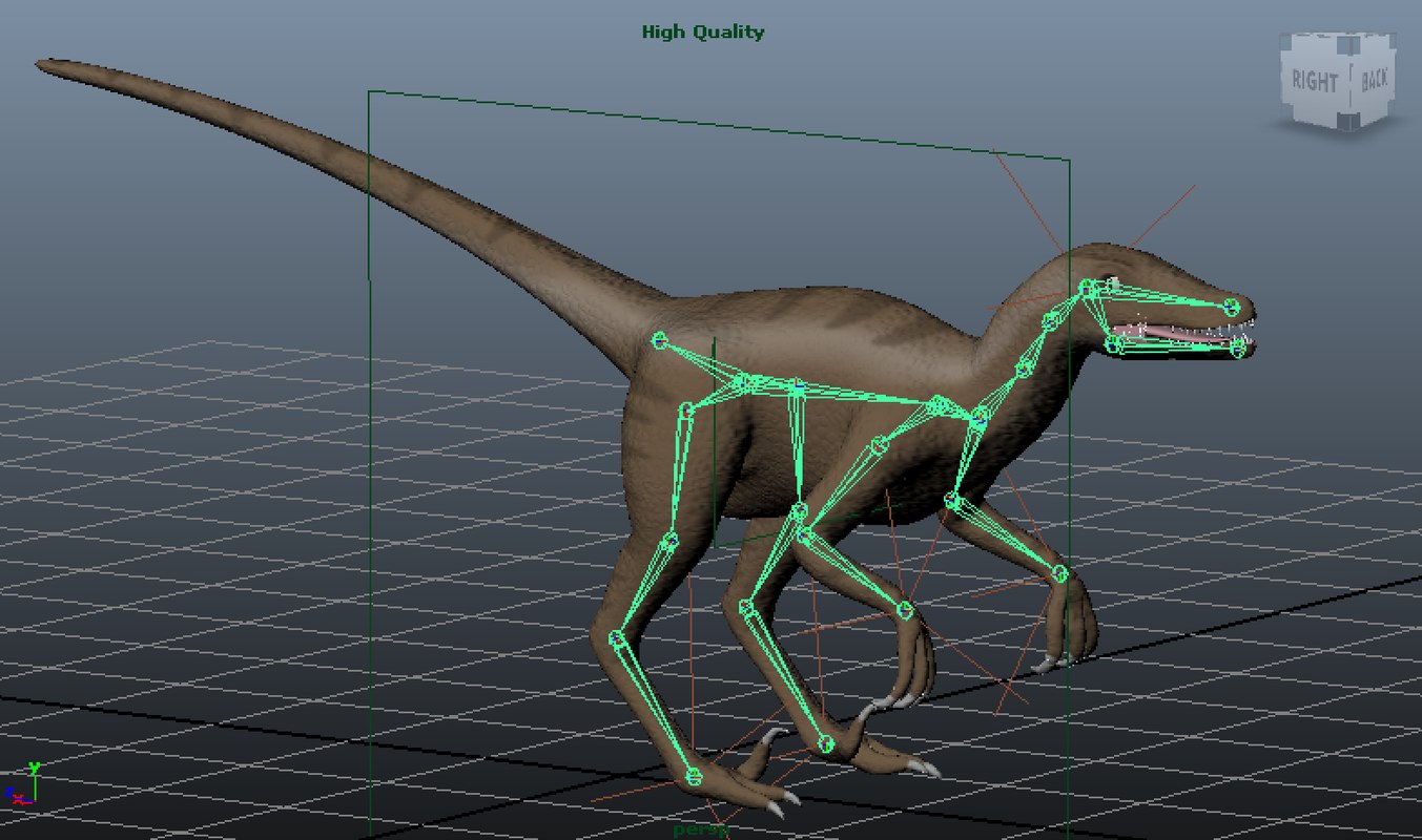 velociraptor google 3d