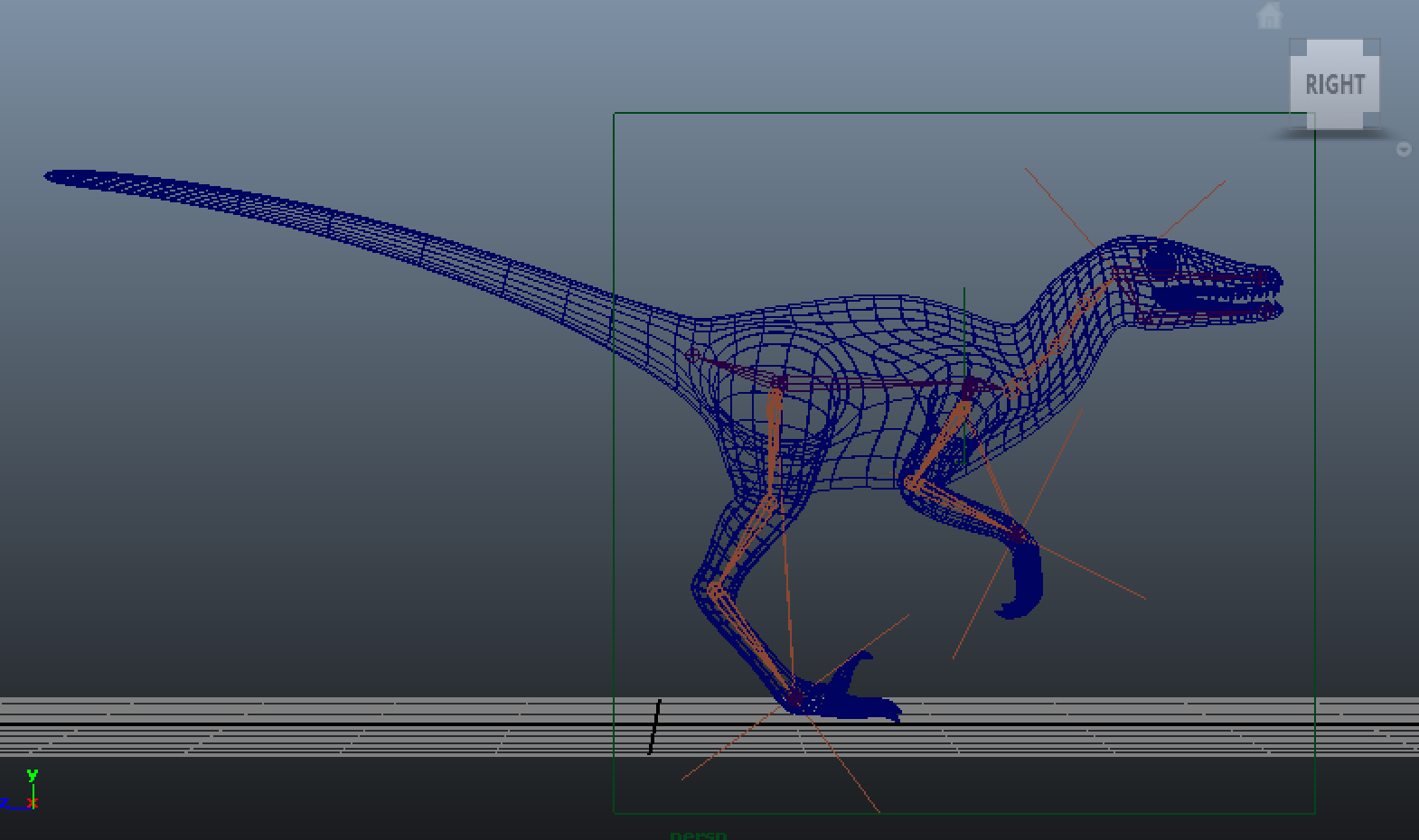 3d velociraptor rig skeleton