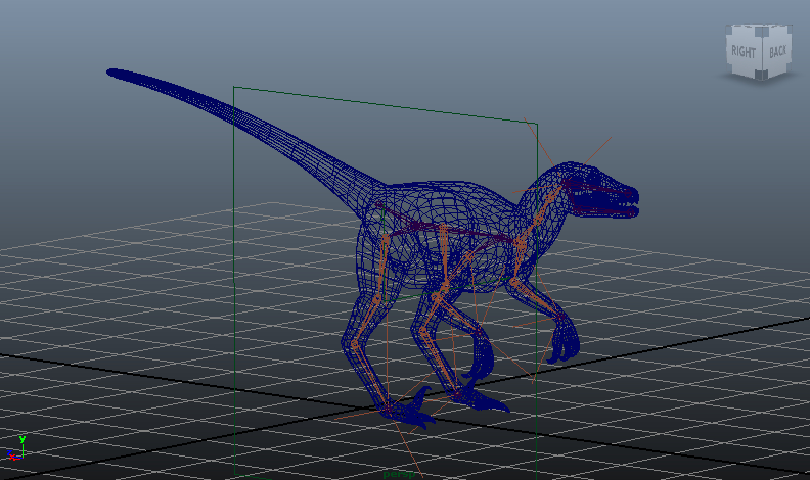 3d velociraptor rig skeleton