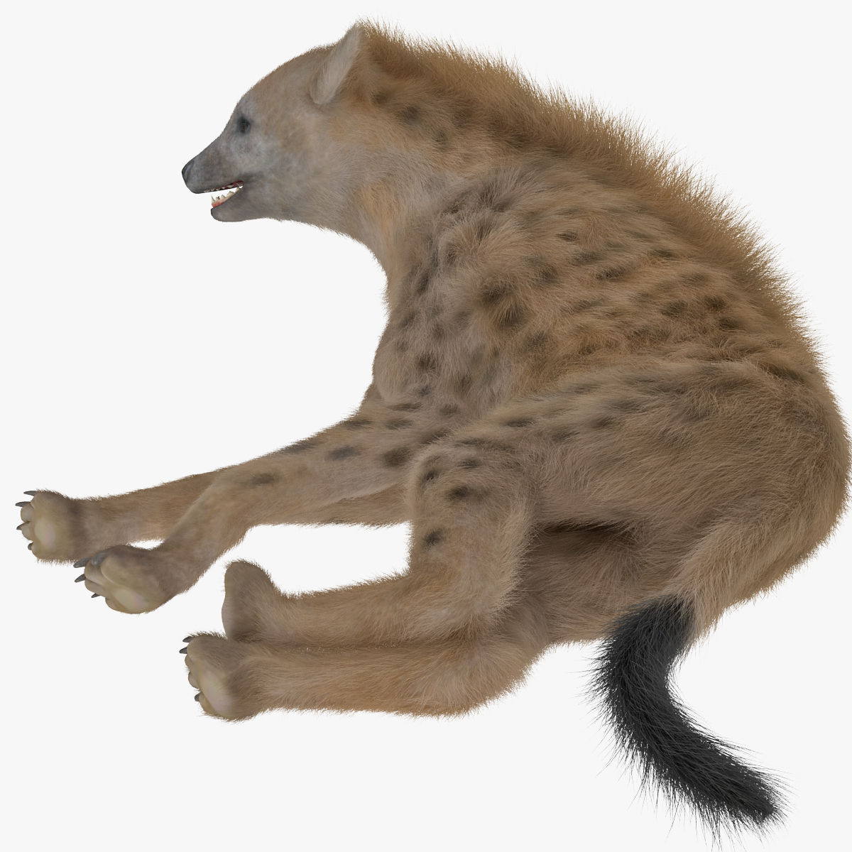 hyena fur rigged