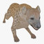 s hyena rigged animal