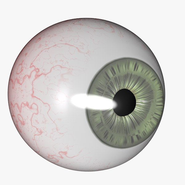 3d human eye
