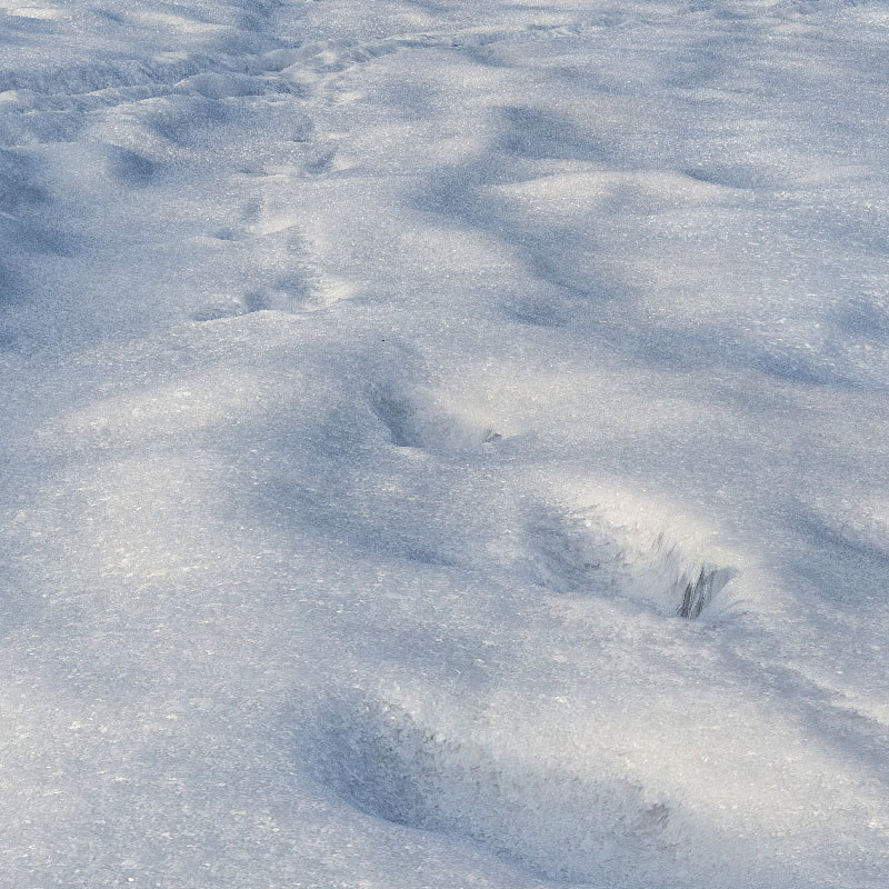 ground snow 3d model