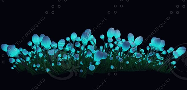 Texture PNG Flowers Avatar fantastic