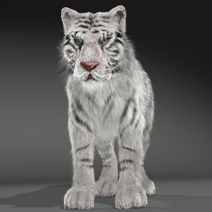 max realistical white siberian tiger