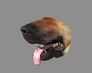 german shepherd mouth animation 3d max