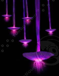 Glowing Flowers like in Avatar